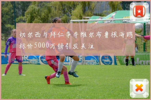 切尔西与拜仁争夺维尔布鲁根海鸥标价5000万镑引发关注