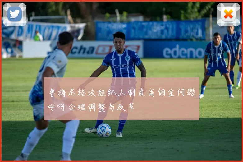 鲁梅尼格谈经纪人制度高佣金问题呼吁合理调整与改革