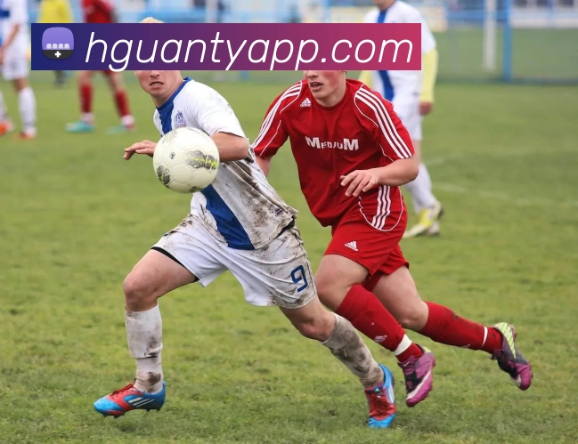 皇冠体育官网服务体系